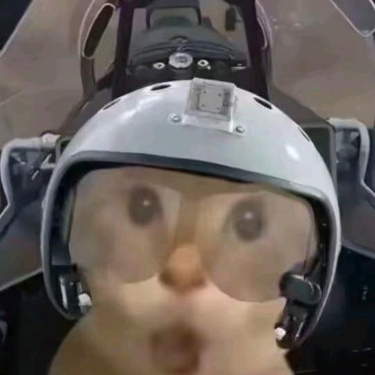哈哈口合