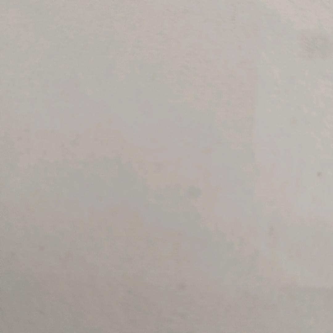 小李