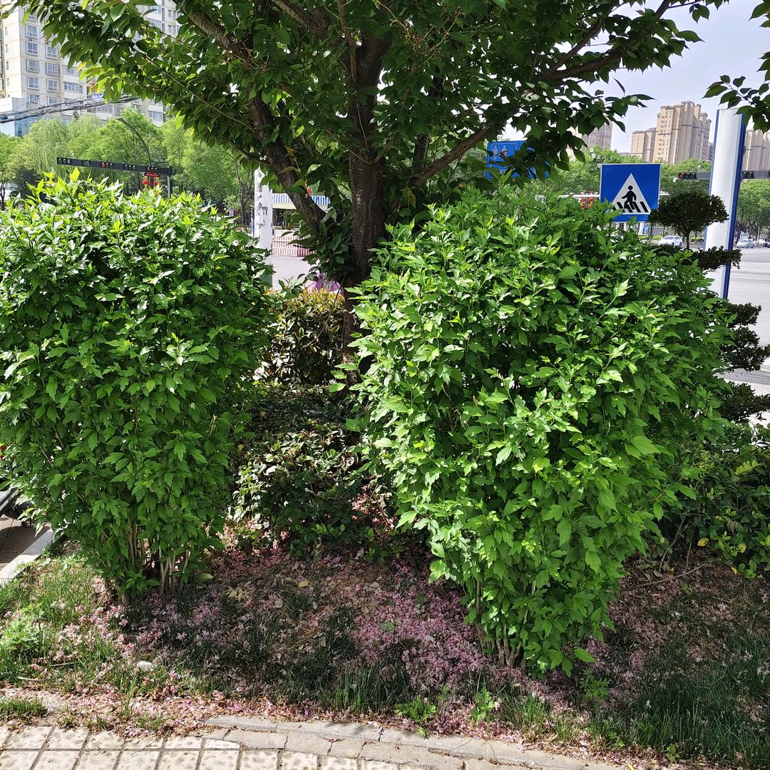 一夜无眠