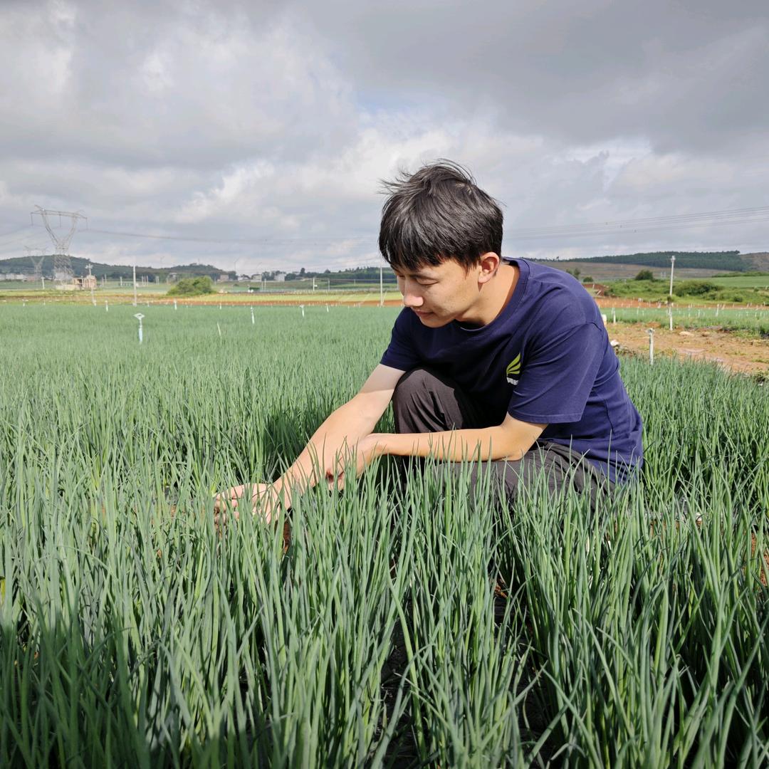 小葱硬度试验员-洪杰