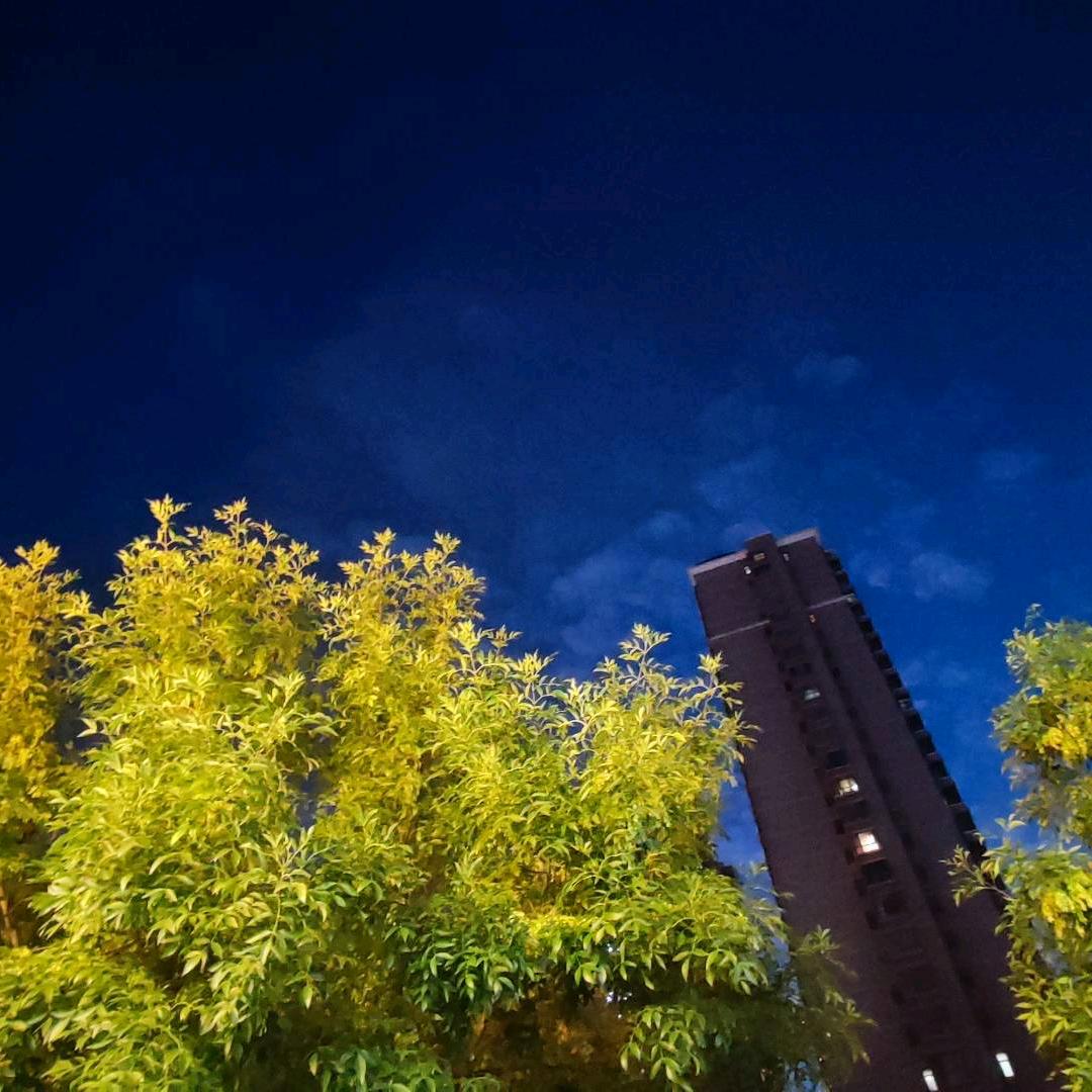 听听那夏天的风