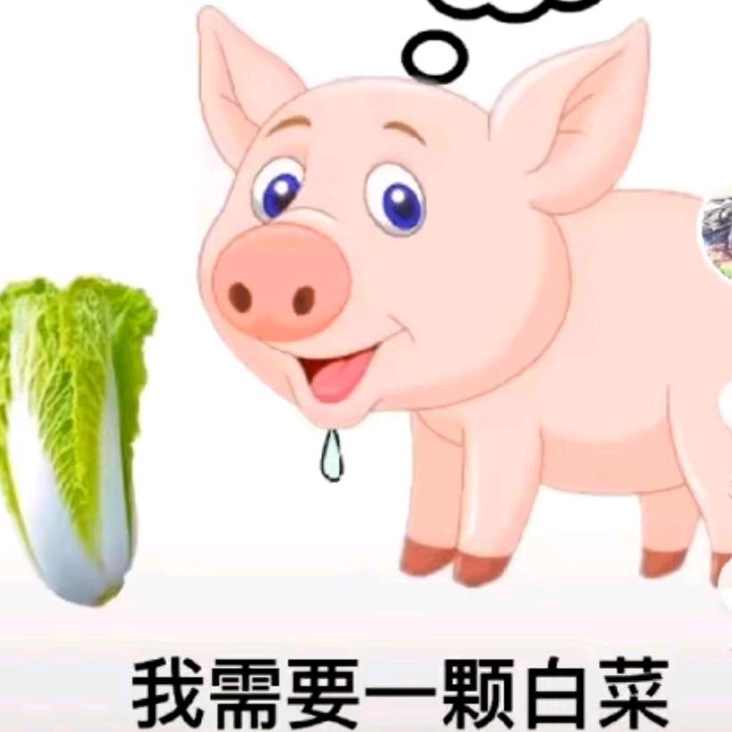 找颗好白菜