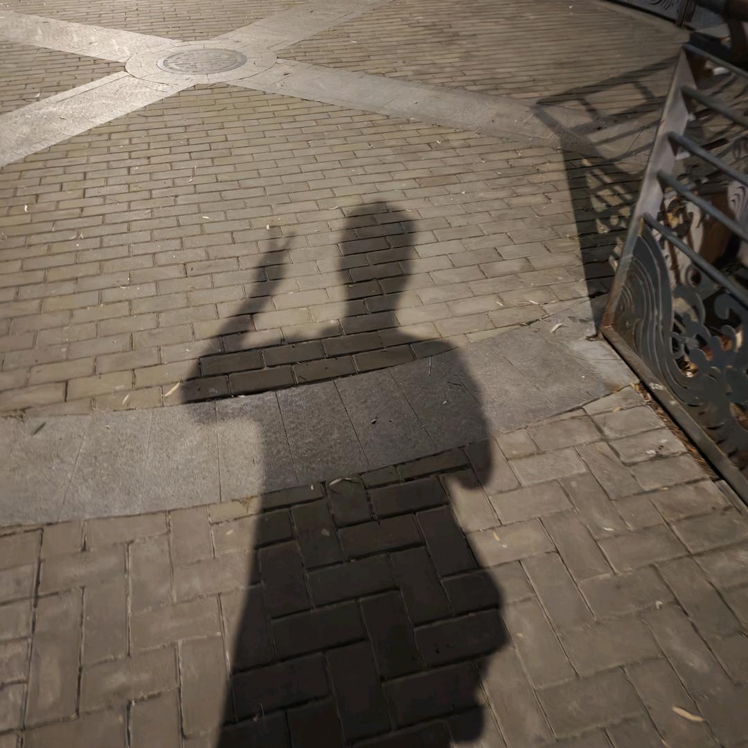 国强国强吃饭啦