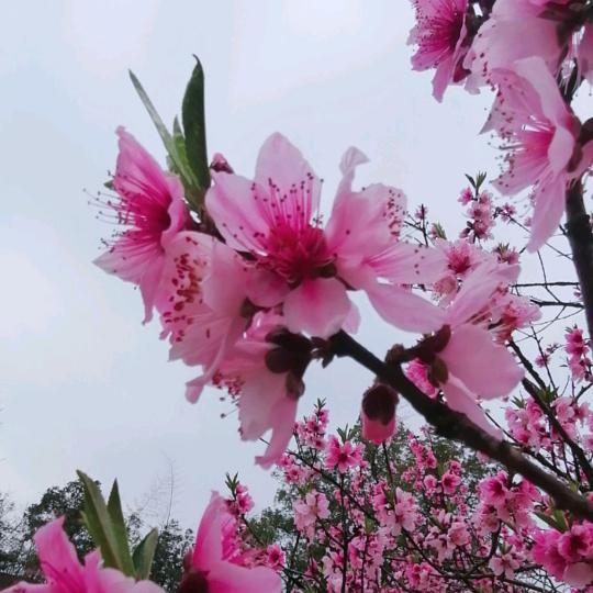 倩姐