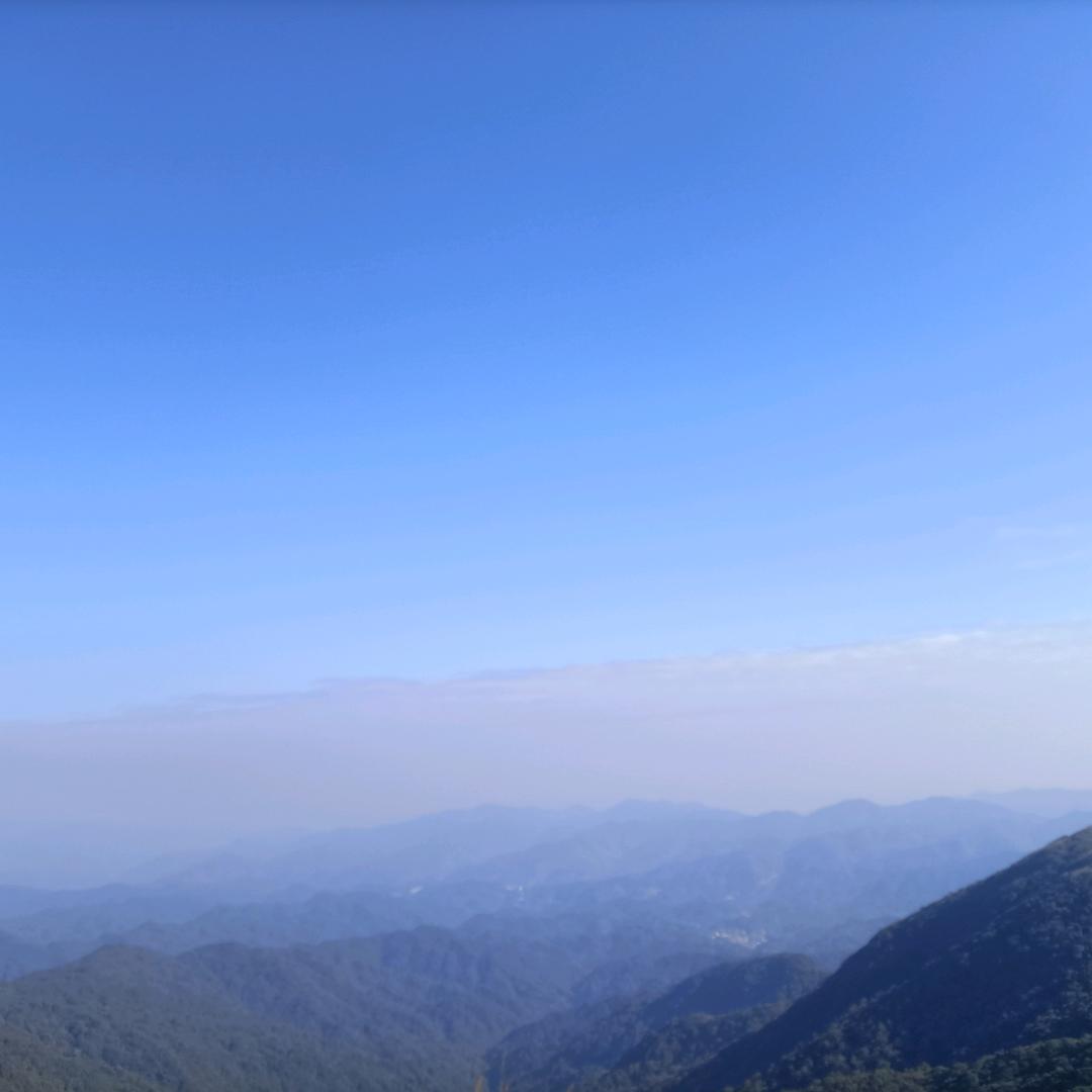 ✨非信佳百货✨