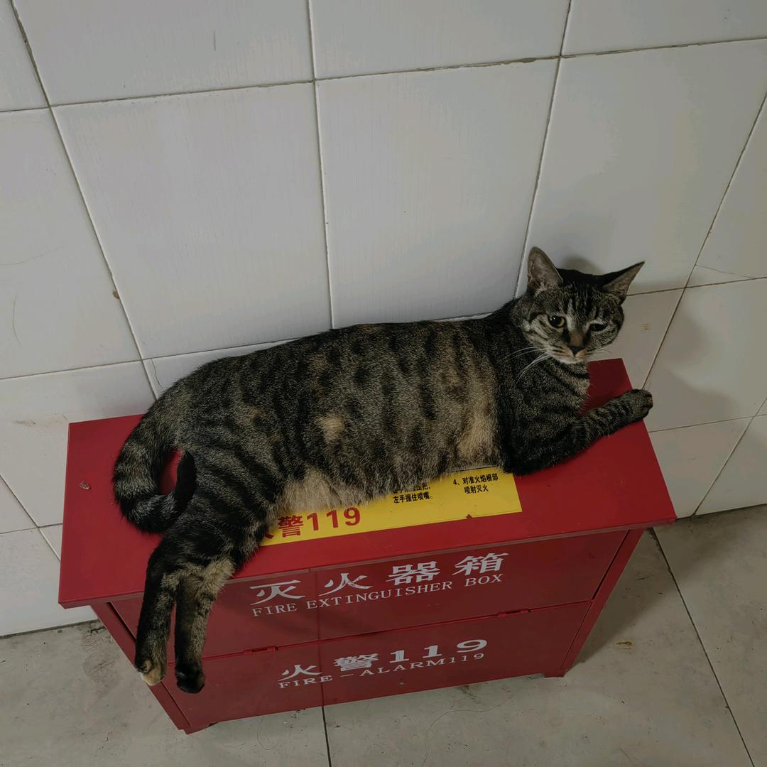 不习惯