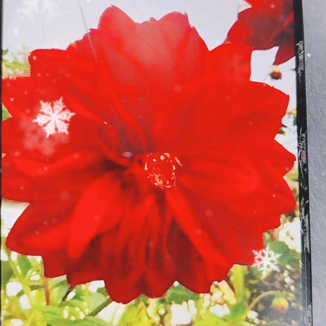 美好