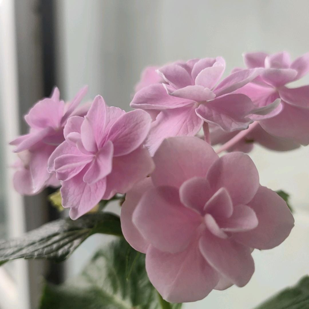 财迷