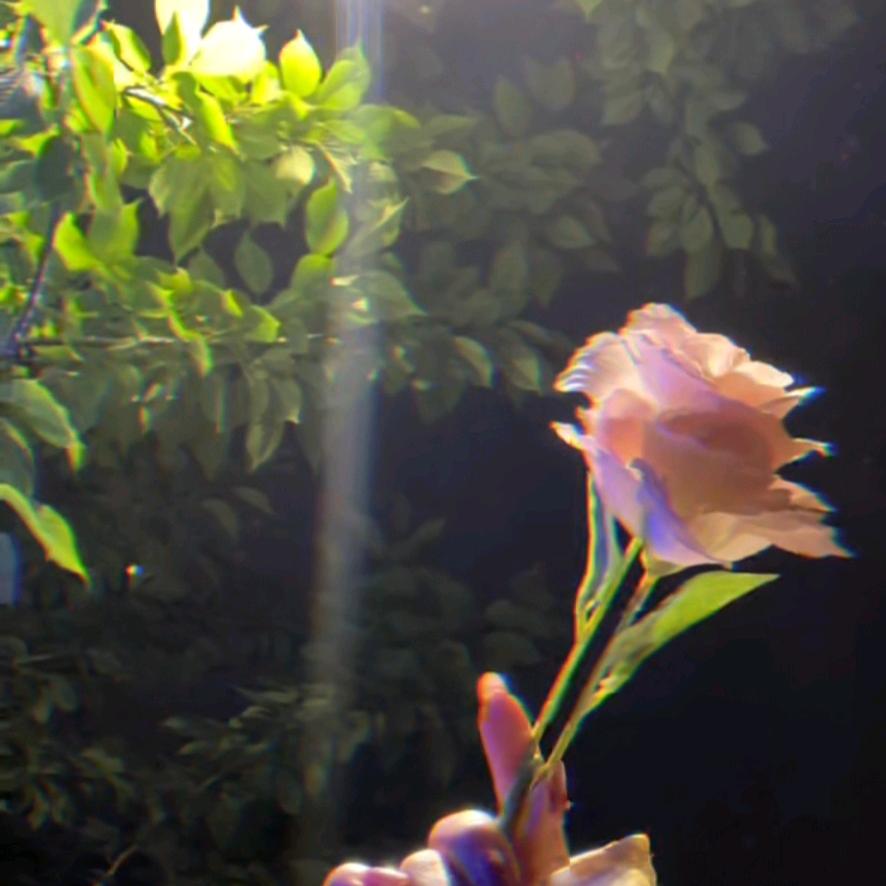 ღᩚ᭄小俞᭄ৡᩚ࿐ﾞ