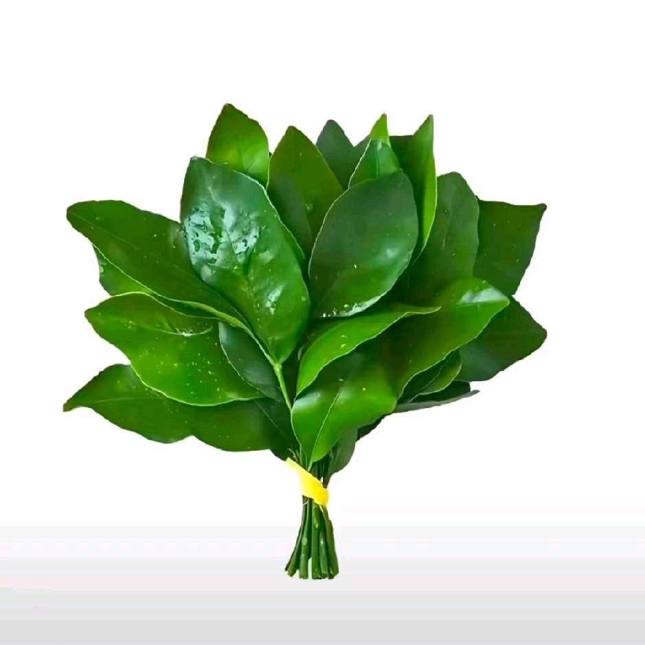 LWYsnJ
