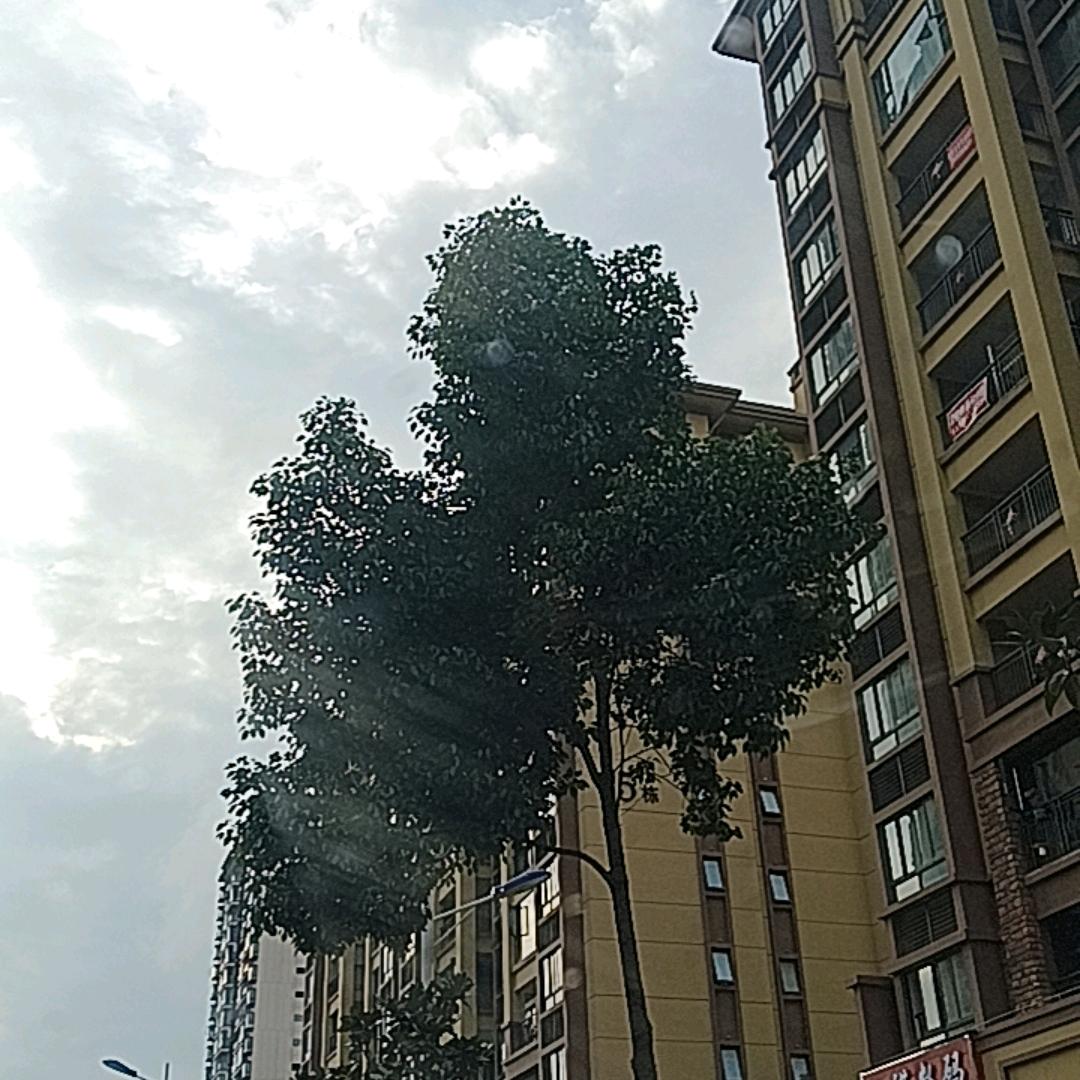 西咸新区秦汉新城暗暗爱在少锕百货经营部（个体工商户）