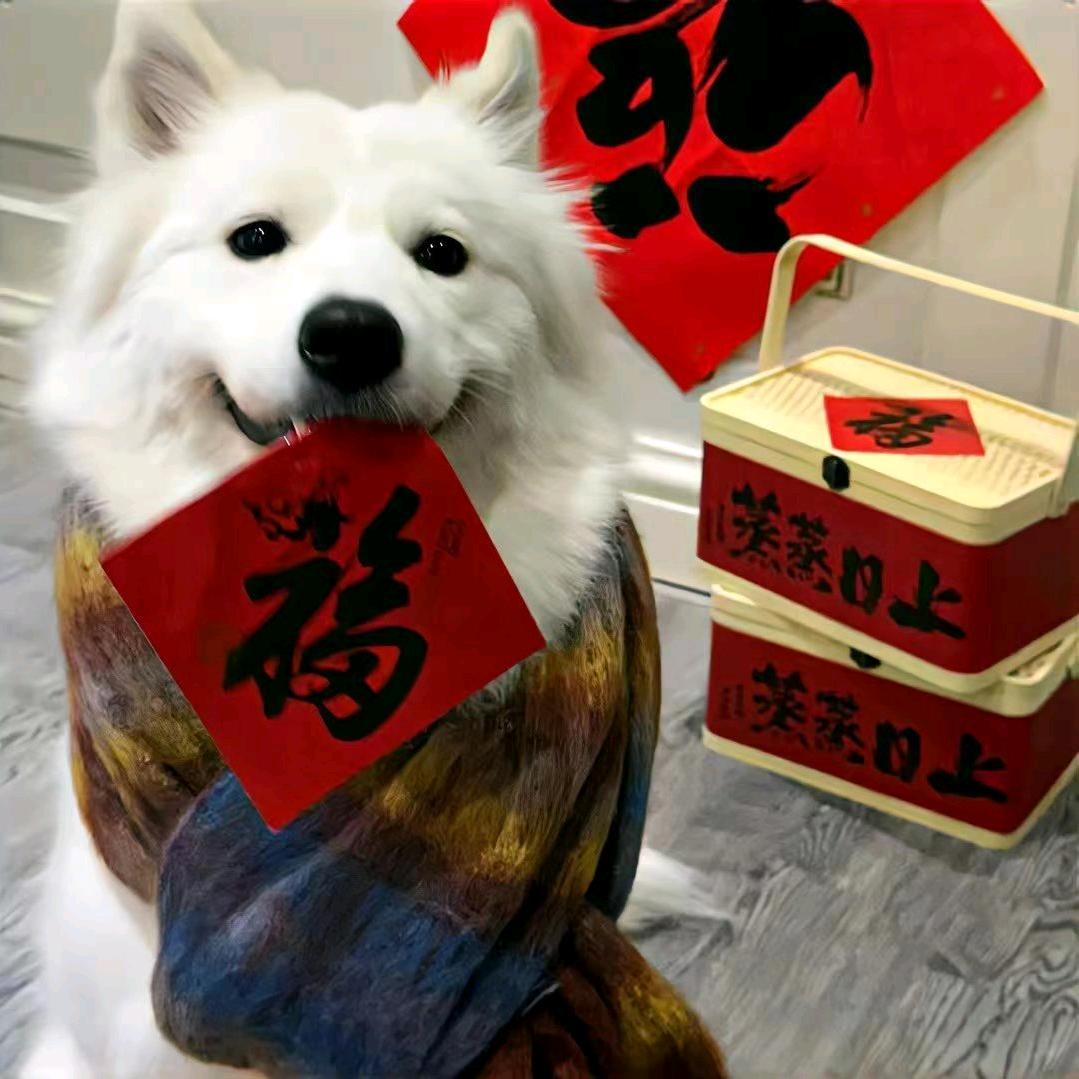 起风