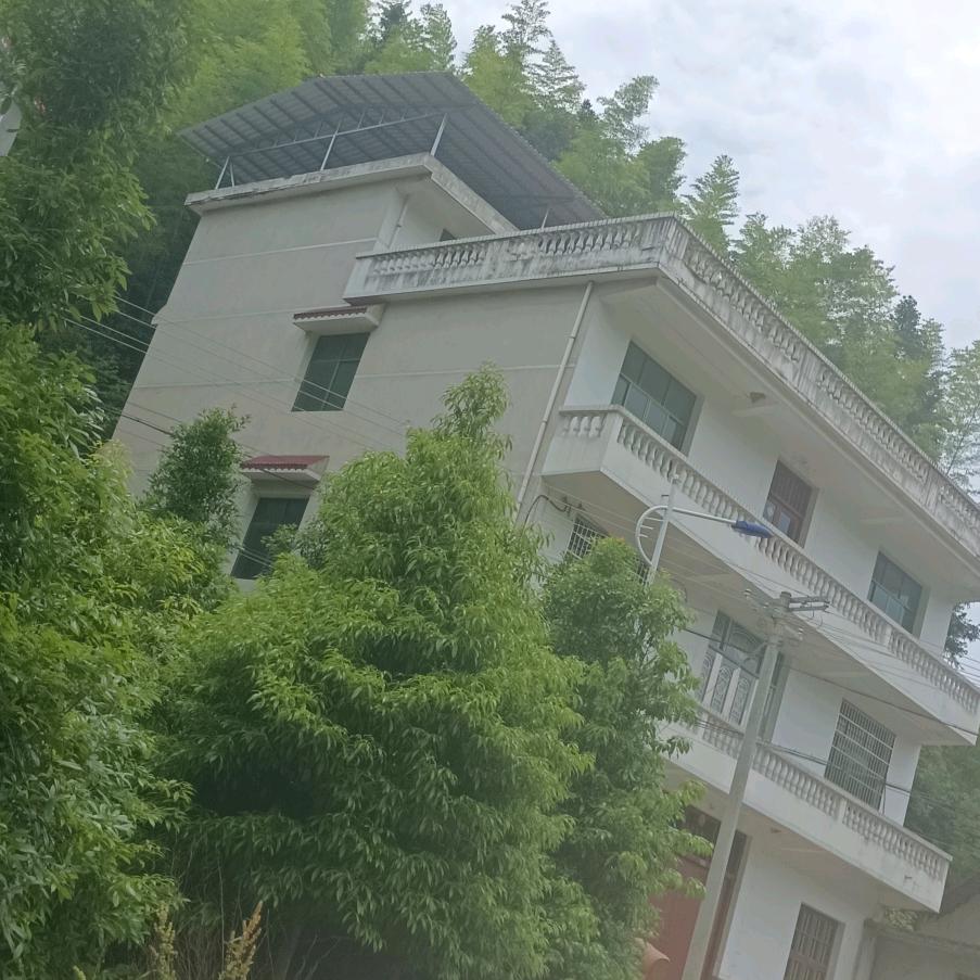 岁月无声