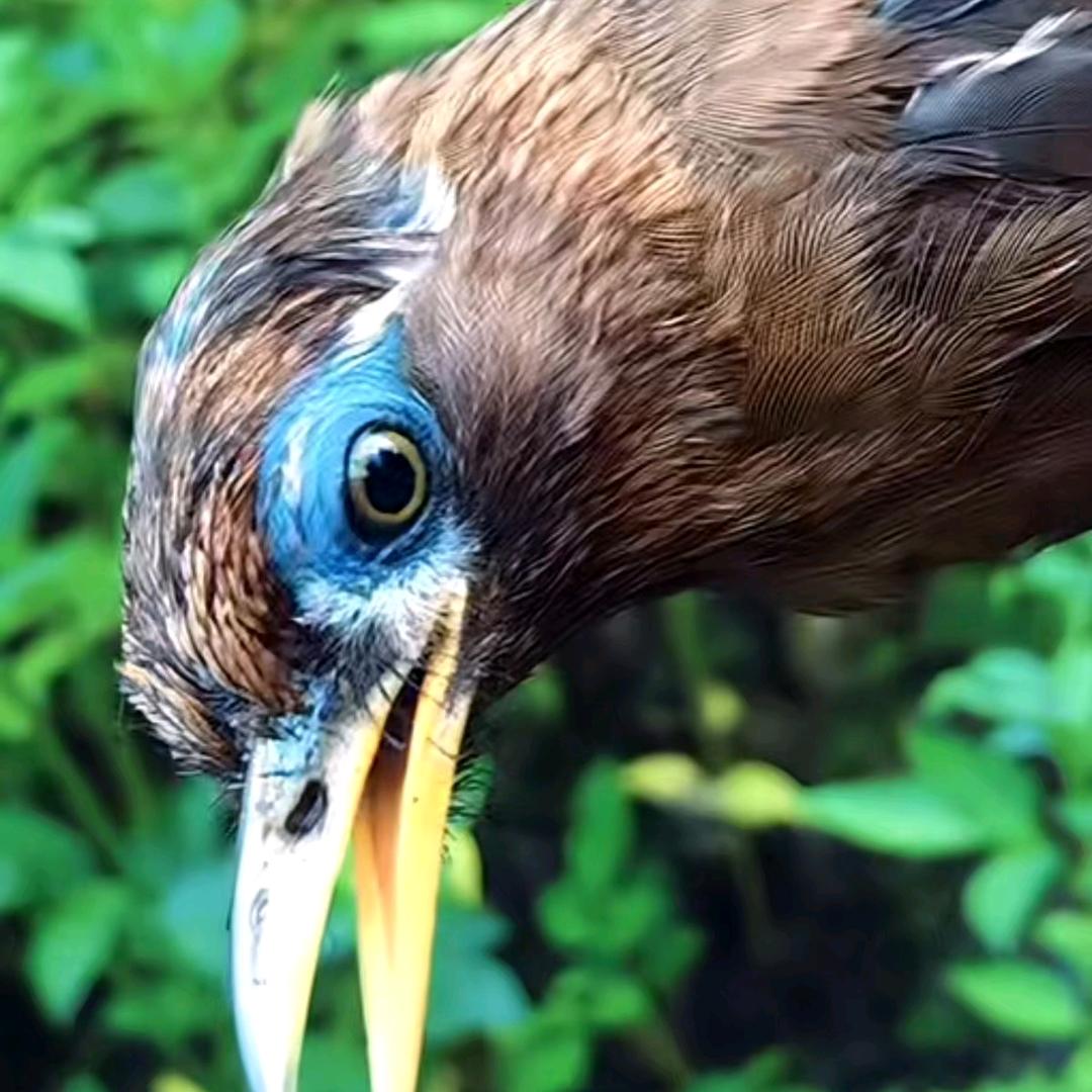 你我本无缘，全靠我充钱