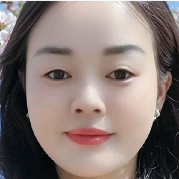 向本菊