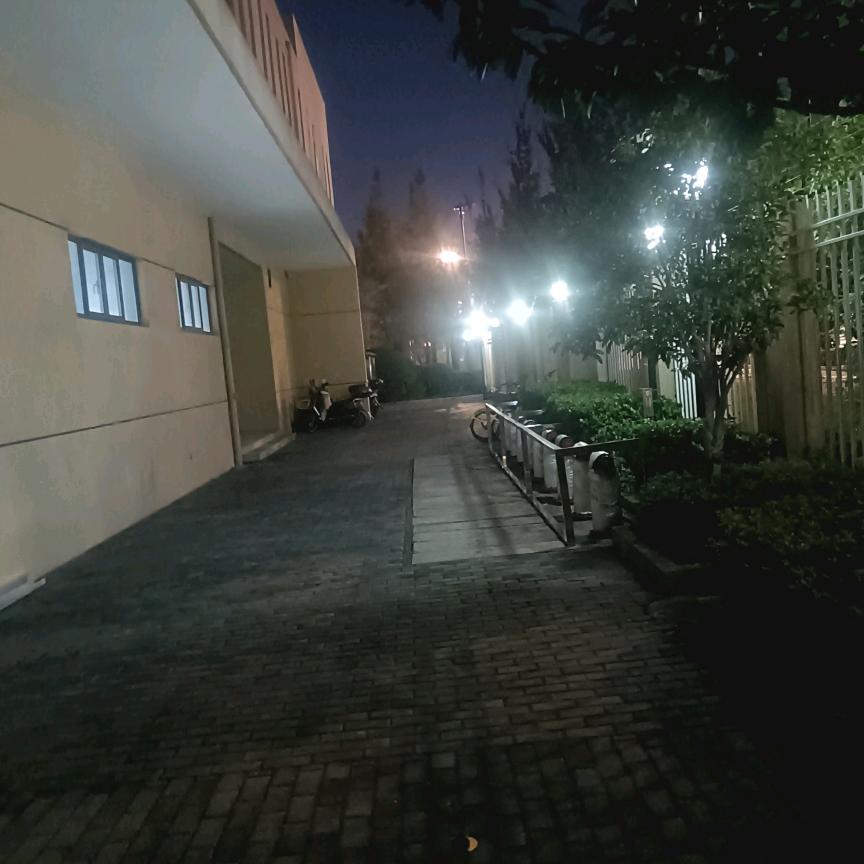 雨生