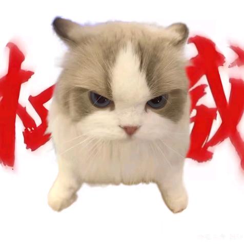 猫meme搞笑日常