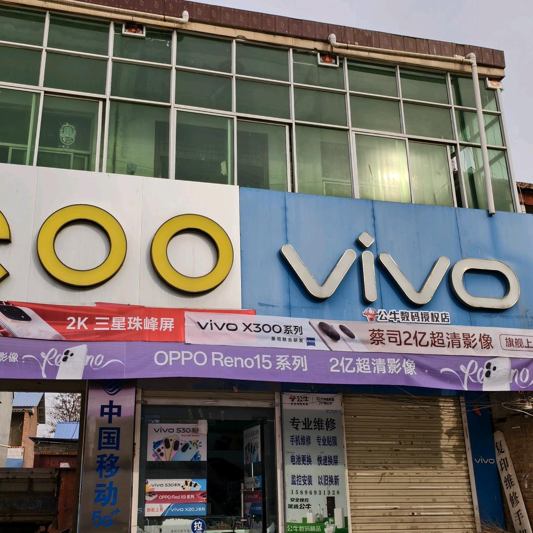 勒马李朝手机店