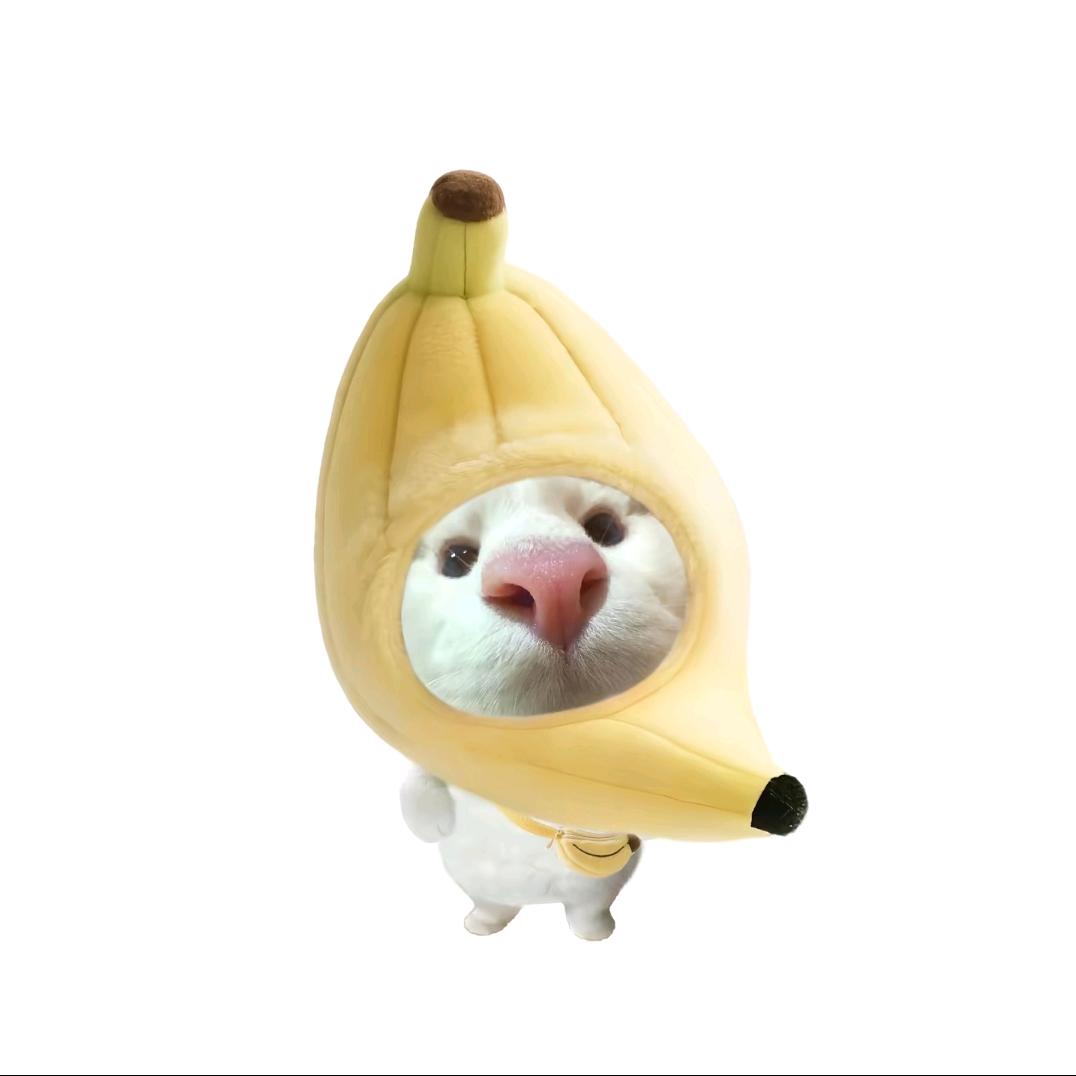 给我来根布呐呐