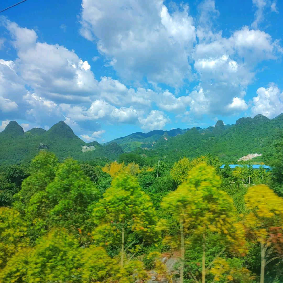 长胡子的柠檬🍋