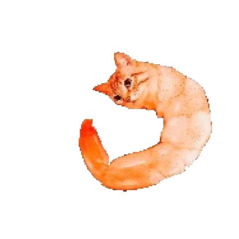 芬狗