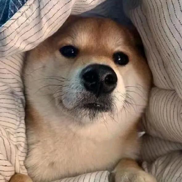 宝芯福安运营2号