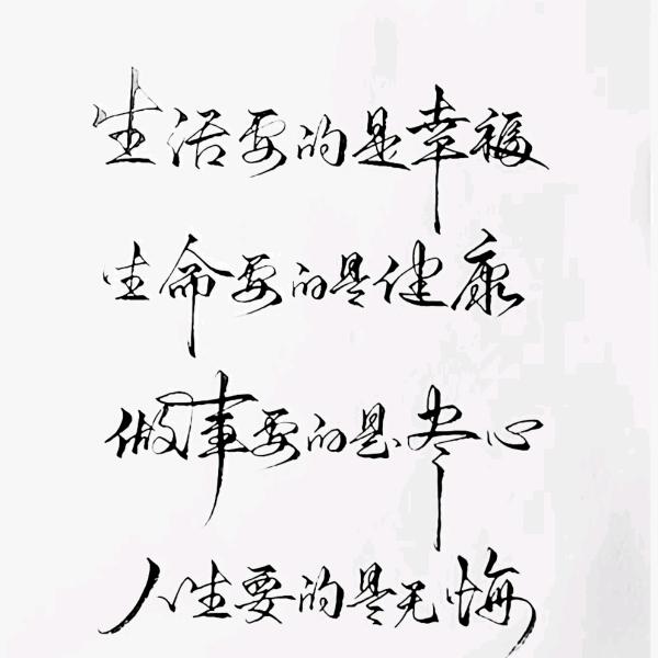 岁月静好y