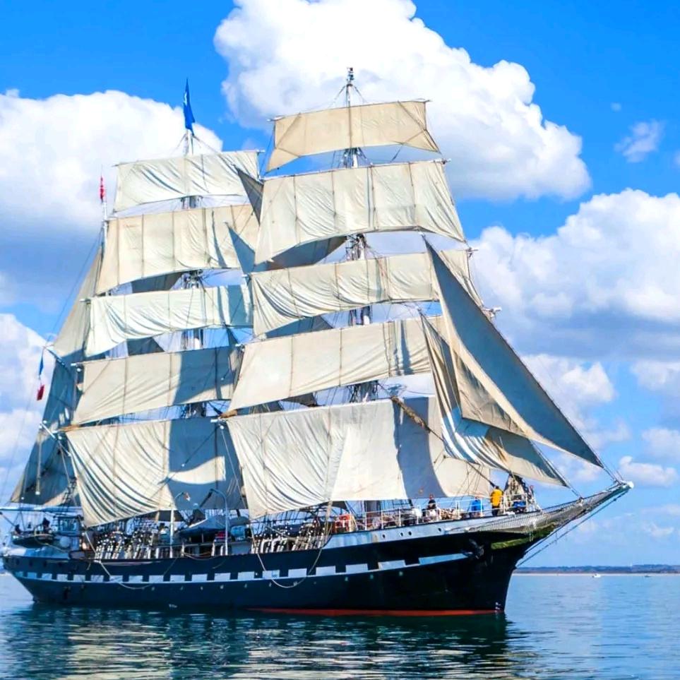 あ シ假的太真灬き