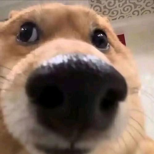 刘白(恩师徐工黎明朱哥)