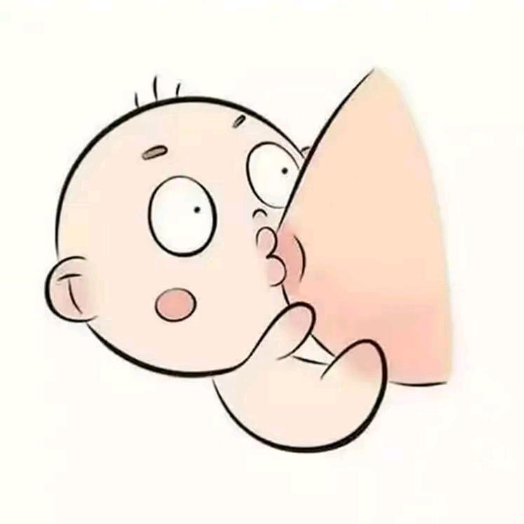 小羊（嫣儿…289）