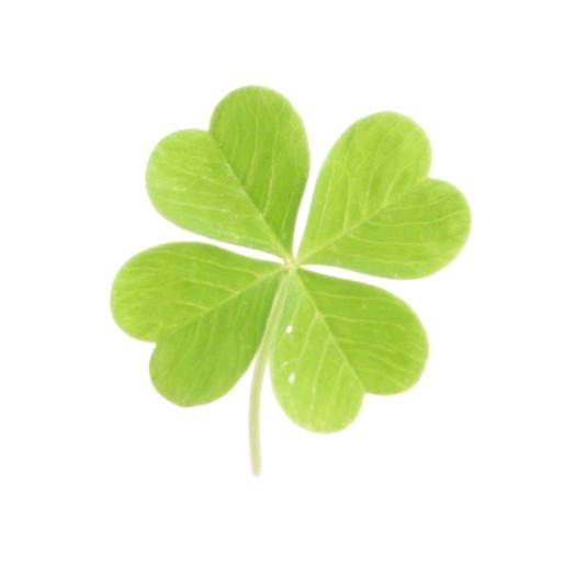 请幸运降临我手心🤲