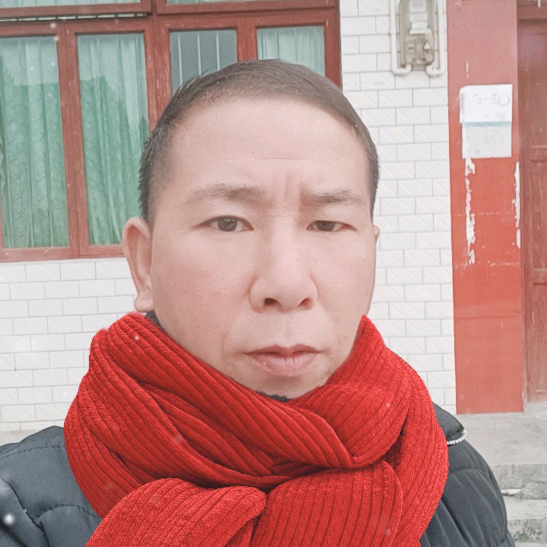 任我飞翔