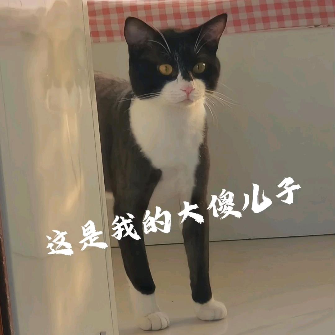 二十的农村日记