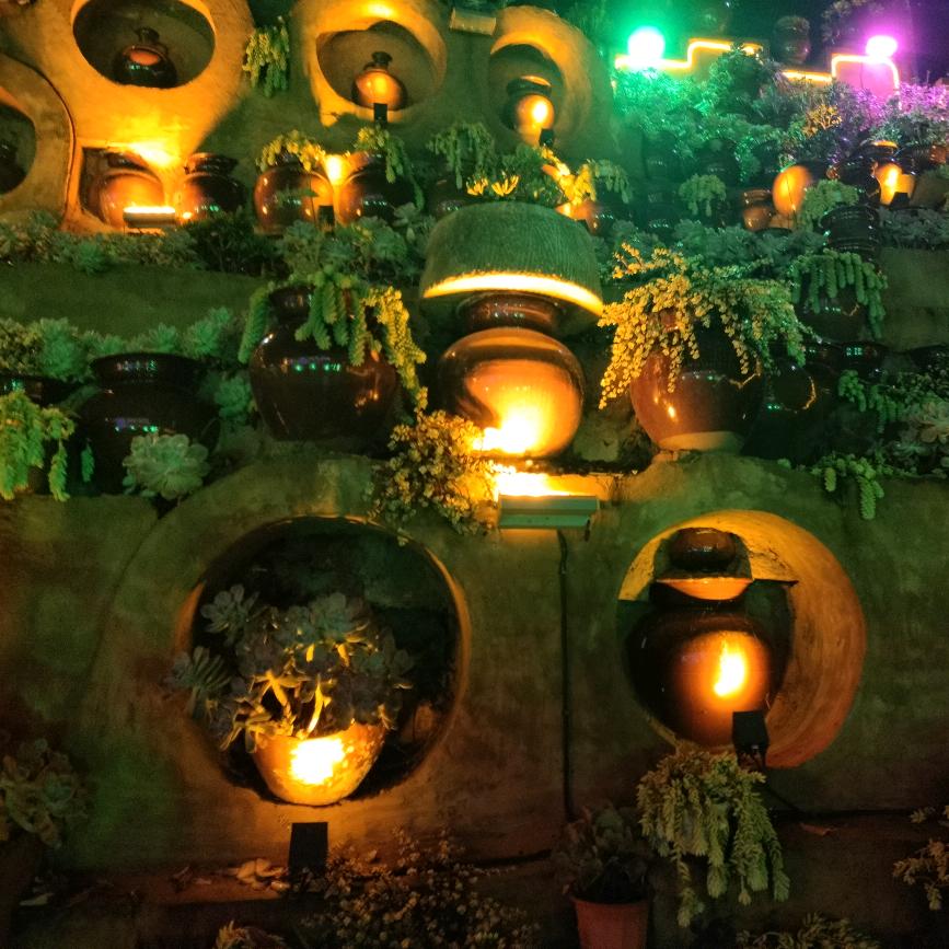 傻傻的👼超可爱