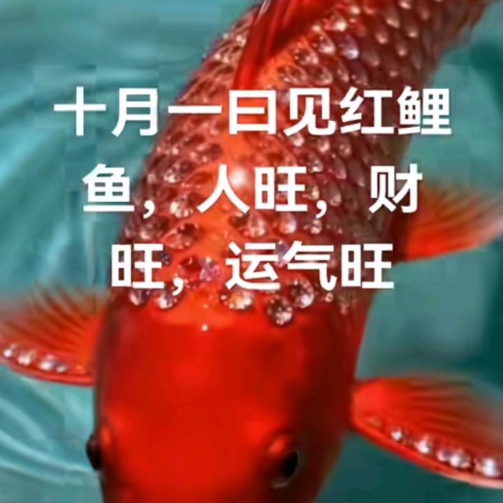 静心