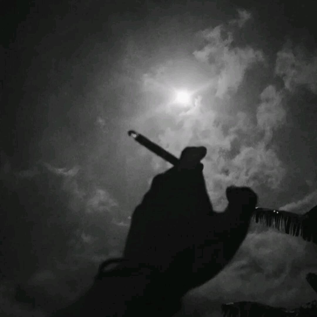 她身上87%是香的