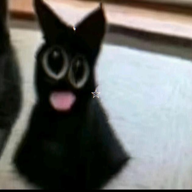 ☁️☁️☁️☁️☁️☁️☁️