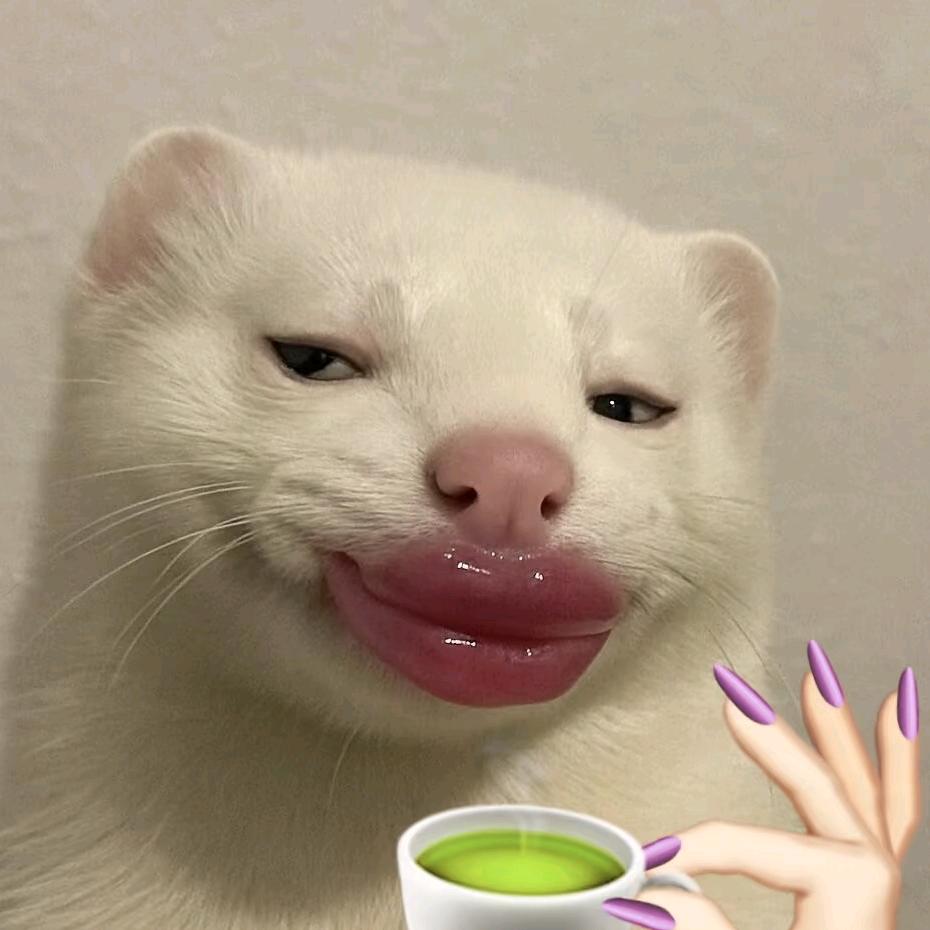 🌈小伏小伏🌚᭄
