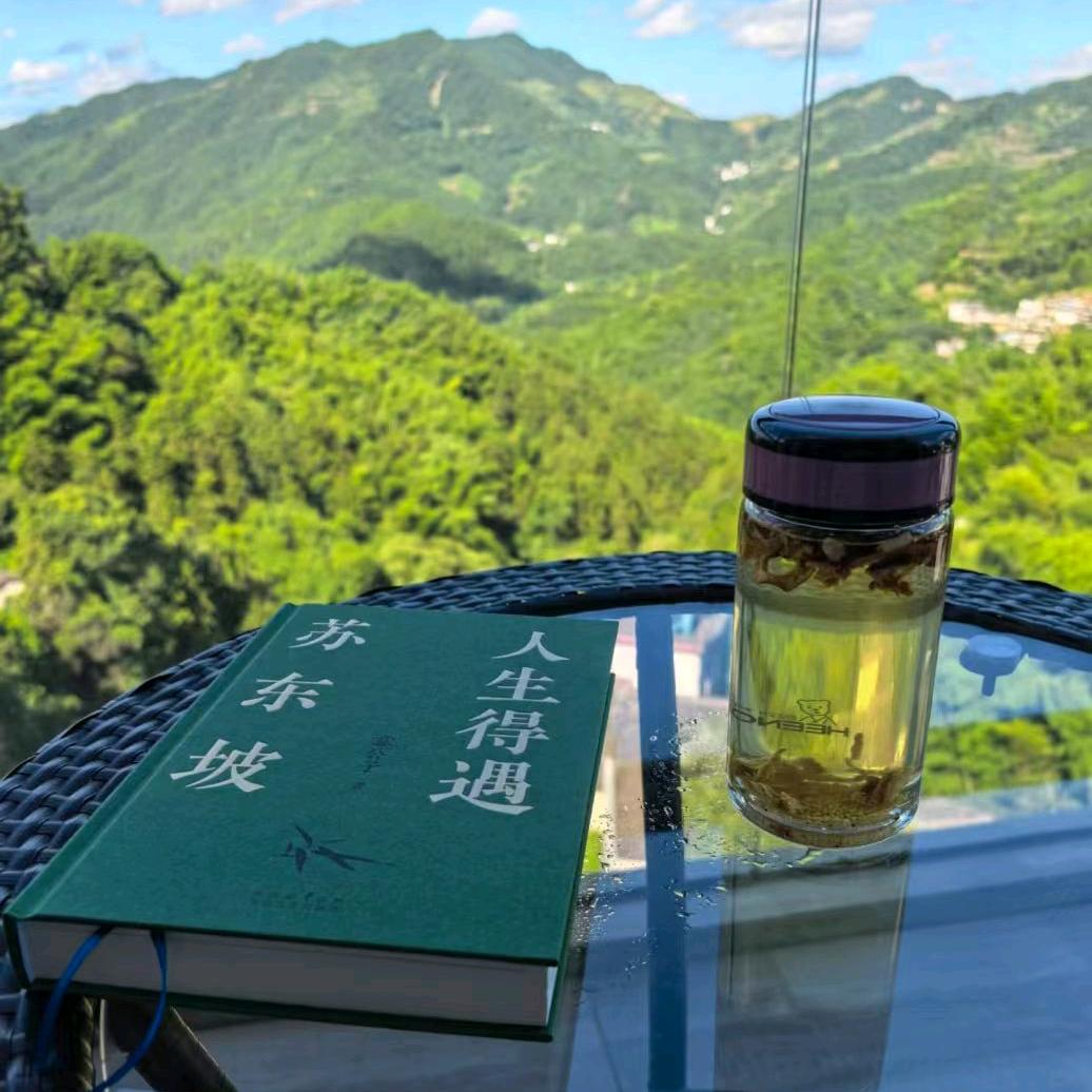 思念也被风吹皱