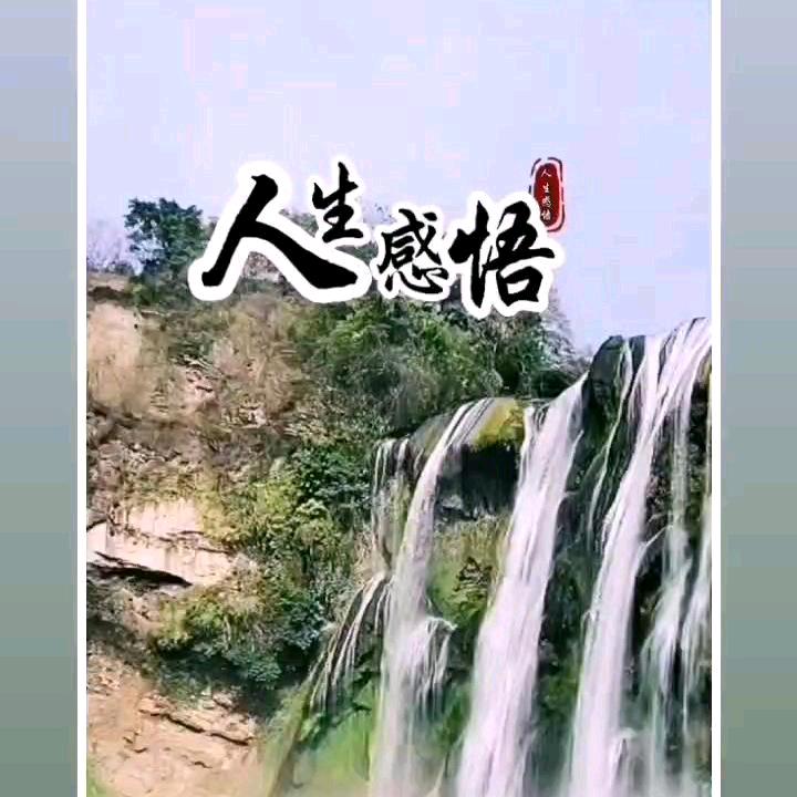 小草