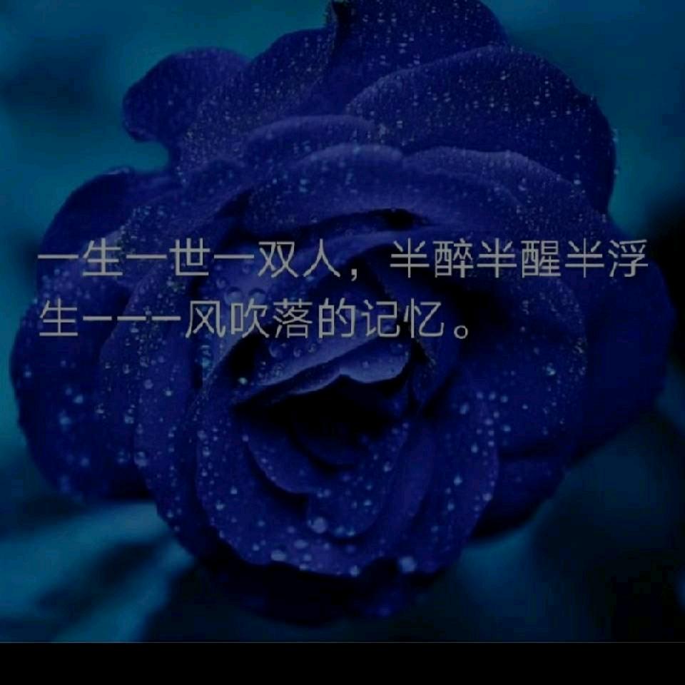 风吹落的记忆