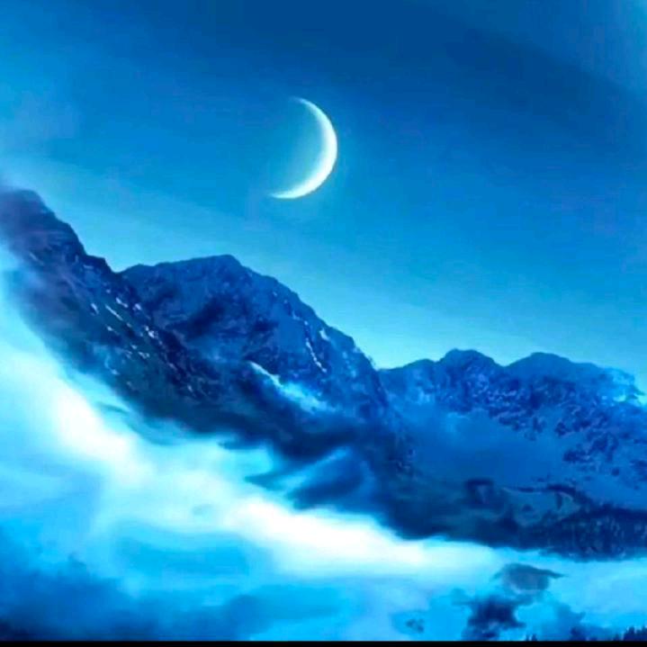 🌹❤️有你真好🌹❤️🥀🥀🌷🌿