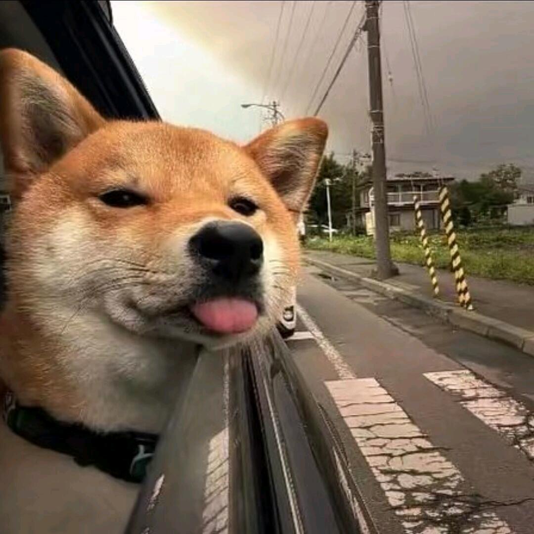 Xzhe