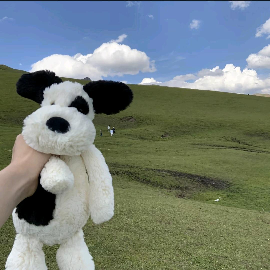 发表一个nature
