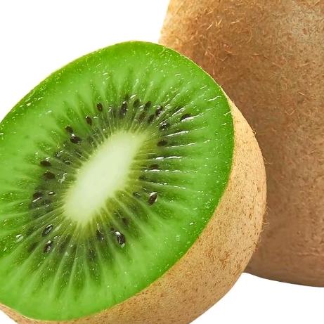 我是一只小小鸟