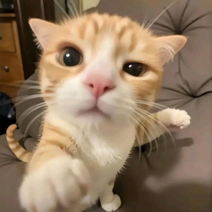 不给吃的就捣蛋