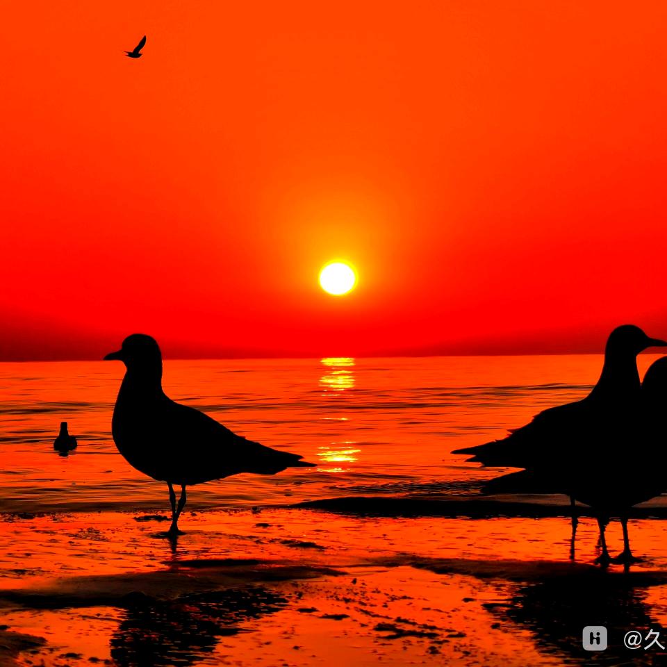 🌾有缘🌿人🍂