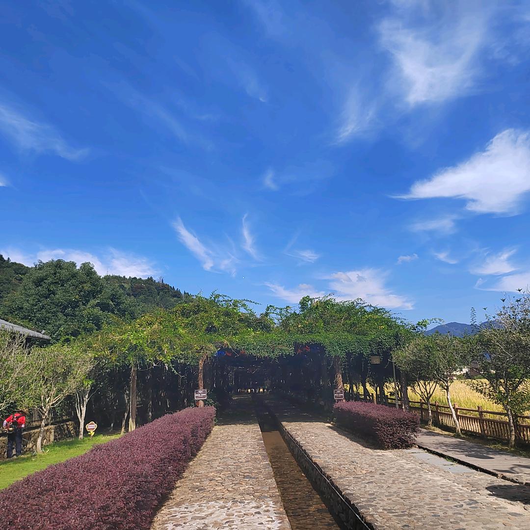 范范内衣店官方号