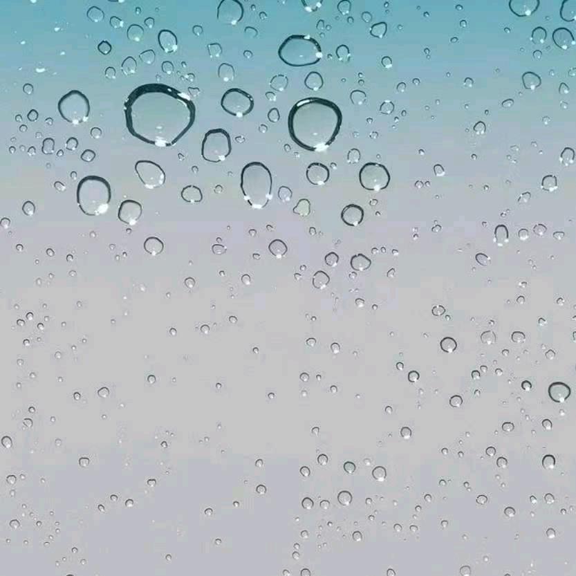 淘客.二手物资回收+清仓