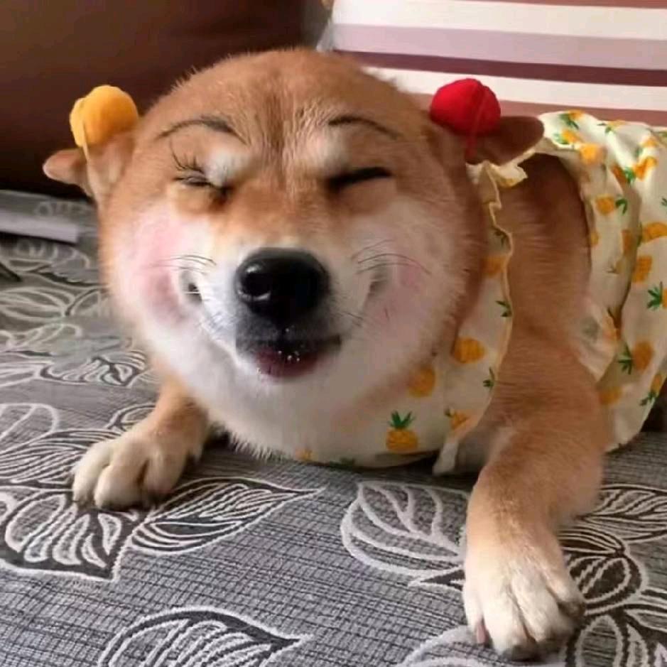 🌈Zovf_